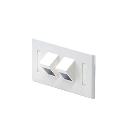 Link US-2342A ANGLE FACE PLATE 2 PORT